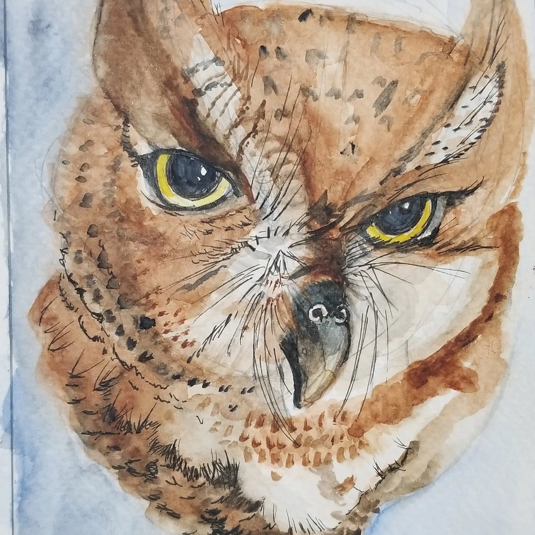 Art Is A Hoot For Adults 1